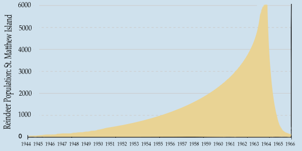 reindeer on st. matthew island